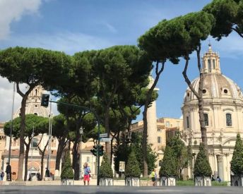 Настаняване в хотел 2* или 3*