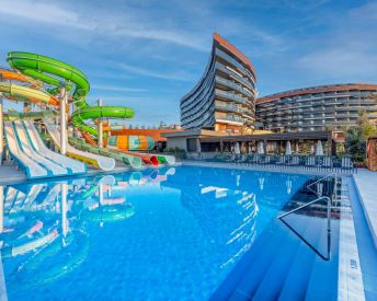 CALYPTUS KIRMAN PREMIUM