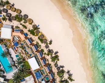 SALT OF PALMAR (ADULTS ONLY 16+)