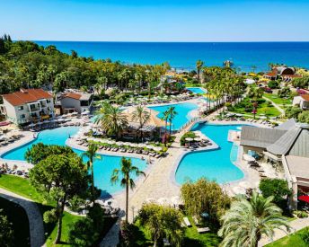 BARUT ARUM COLLECTION