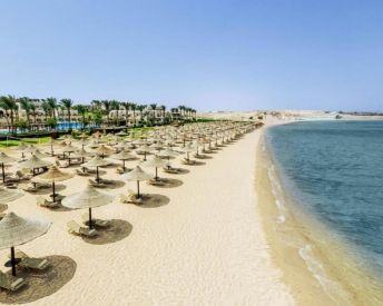 Jaz Sharks Bay Superior