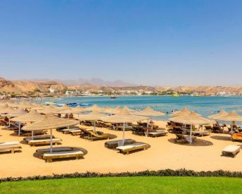 Xperience St. George Standard